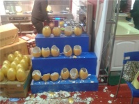 大连森歌集成灶参加城团团购会 全程火热签单