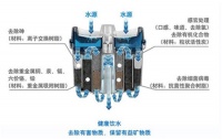 还在喝脏水吗？小心你的身体成为污水厂