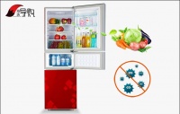 3款高性价比节能冰箱推荐 你家的冰箱可以更省电
