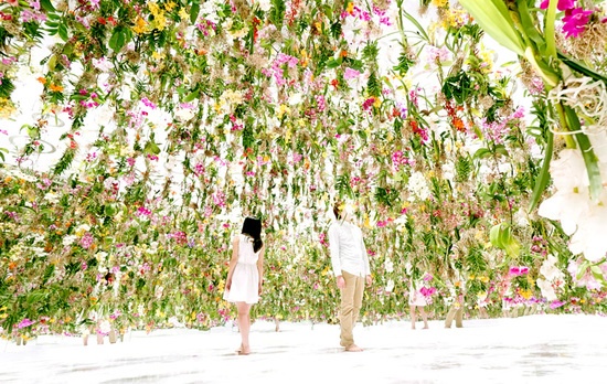  东京科学未来馆的游客会发现自己沉浸在植物生命的动态迷宫中。超过2300株悬挂着的鲜花盛开在这个巨大的纯白空间内。游客可以在漫天精致的粉红色花瓣和郁郁葱葱的绿色植物中同时体验这个由 teamlab 设计的“浮动花园”装置带来的互动与宁静。 当游人靠近这个广阔的鲜花盛开的空间，最靠近游人的鲜花会开始一起慢慢向上攀升，在游客周围创造一个半球型空间。随着游客在展览中的位置变化，这个半球形空间也会不断发展和演变。当很多人向彼此靠拢时，半球形空间会连接起来，形成一个单一巨大的穹顶。