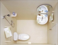 中日卫生间文化对比：厕纸到底扔哪里？