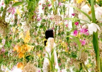 teamlab 工作室打造的互动式悬浮花海