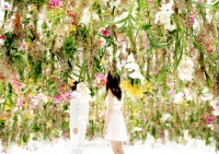 teamlab 工作室打造的互动式悬浮花海