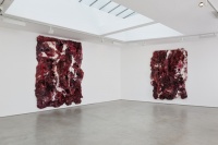 anish kapoor在里森画廊里的硅树脂鲜肉作品