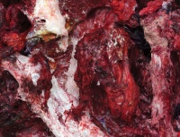 anish kapoor在里森画廊里的硅树脂鲜肉作品