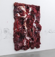 anish kapoor在里森画廊里的硅树脂鲜肉作品