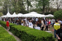 一天游遍意大利，你信吗？