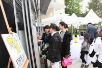 一天游遍意大利，你信吗？