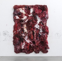 anish kapoor在里森画廊里的硅树脂鲜肉作品