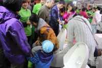 疯抢再袭 场面太霸道