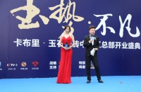 陶博会扎堆上新品 林志玲喧宾夺主吸眼球