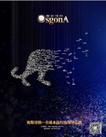 “以灯会友携手共进”奥斯哥纳设计师交流会