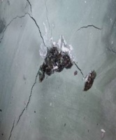 慧华苑案例分享