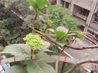 萌妹子偏爱甜美风 13万打造89平梦幻田园家居空间