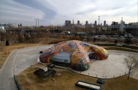 JNJ马赛克再创高峰，勇夺殊荣