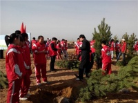 我爱大自然，我为蓝天种棵树