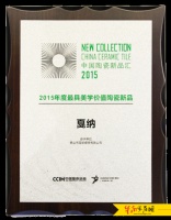 2015蓝珀瓷砖举办招商会发力终端！