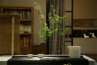 花开如雷——大石代 生活茶空间