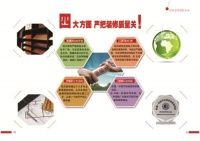 轻舟“O元”装修用户体验 AppleWatch免费送