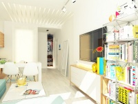 29平开放式蜗居小公寓 清爽现代的都市空间设计