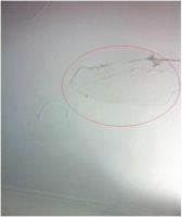 屋面漏水维修案例