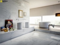 解读2015瓷砖流行趋势