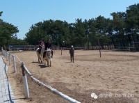 孕妈们给宝宝种下时间囊集结出游吧!青岛月子护理中心会所