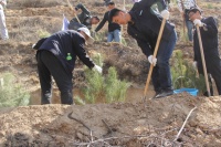 中铁二十一局四公司开展义务植树活动
