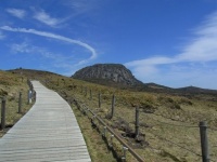 韩国真实生活：有钱也难吃到新鲜蔬菜