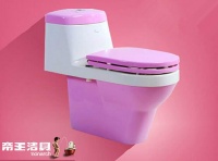 帝王洁具节水马桶 力争环保先行者