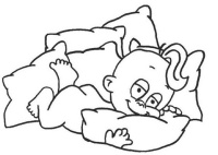 关于睡觉，你是不要脸的那种还是不要命那种