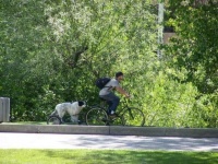 美国穷山沟里的房子堪比中国的豪宅！