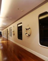 浪鲸那么美 我想去看看