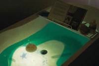 各种浴室小道具 洗个澡都要那么搞怪吗？