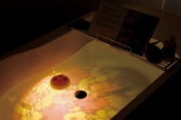 各种浴室小道具 洗个澡都要那么搞怪吗？