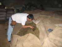 陈建雄——踏遍青山只为古道问茶