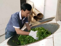 陈建雄——踏遍青山只为古道问茶