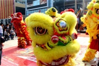 萍乡华美立家百家品牌抢先开业