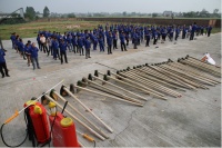 栽种森林 新悦员工建开心农场装扮新工厂