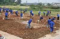 栽种森林 新悦员工建开心农场装扮新工厂