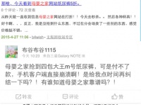 母婴之家狂欢节首日秒抢40万包 比预想中的更好