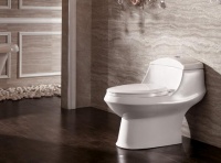 乐享洁净生活 尽在卡丽卫浴