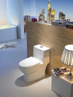 乐享洁净生活 尽在卡丽卫浴