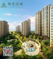 枫丹天城典藏楼座火爆开盘 当日去化率达70%