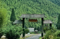 五一小长假，寻找藏在身边的“竹林风光”