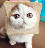 什么鬼！在台湾生活竟然不用交水费！