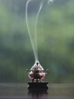 乔迁新居避“煞”风水4要领