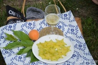 新浪家居“设计正年轻”之当手绘遇见生活美学