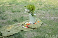 新浪家居“设计正年轻”之当手绘遇见生活美学