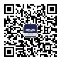 向甲醛雾霾说NO森林之星文化地板五一健康行